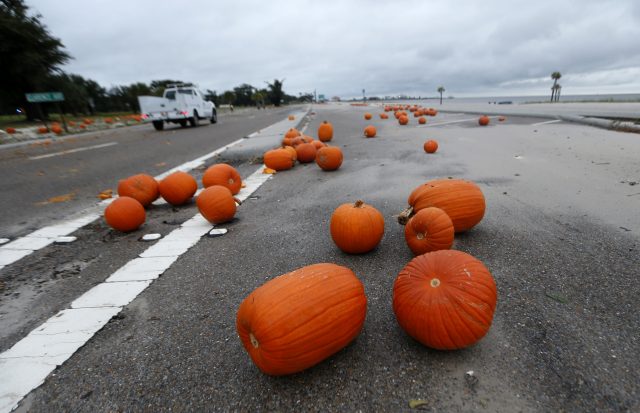 Pumpkins are strewn about Highway 90 along the Gulf of Mexico in Pass Christian, Mississippi