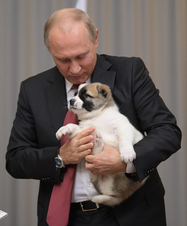 Vladimir Putin holds a puppy presented by Turkmenistan's President Gurbanguly Berdymukhamedov. (AP)