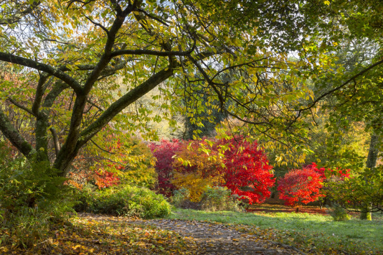 gardens to visit in autumn uk