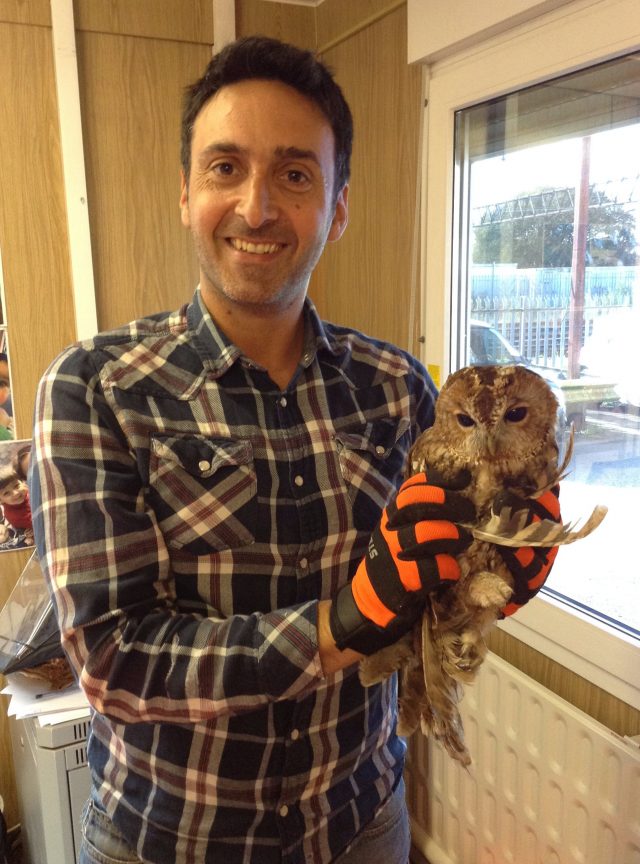 Joseph Spiteri-Braysford with Tony the Tawny owl