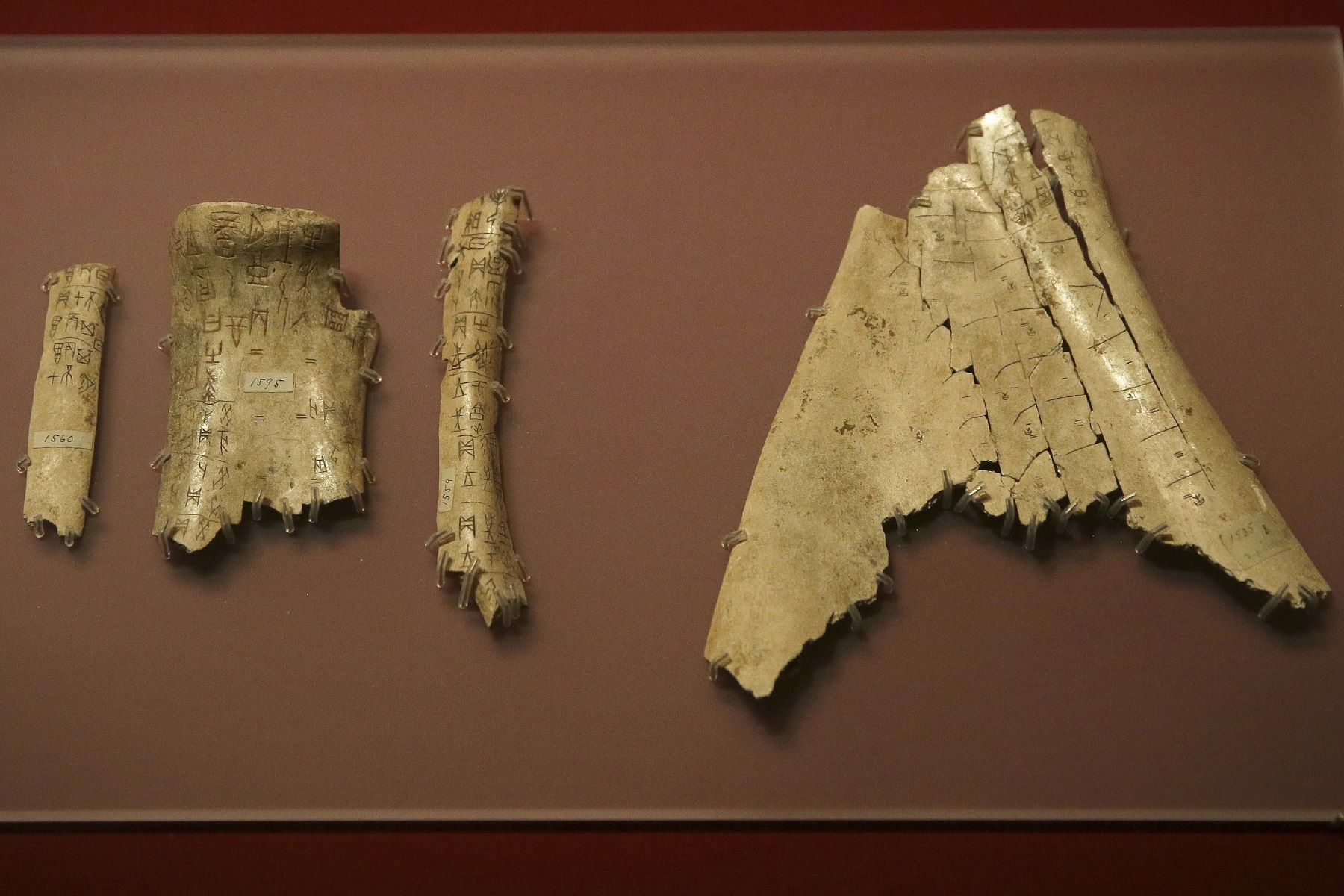 Chinese Oracle bones in the exhibition (Tim Ireland/AP)