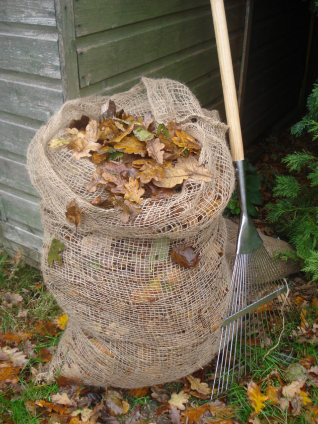 4-tips-for-recycling-your-autumn-leaves-into-a-rich-leafmould-mulch-bt