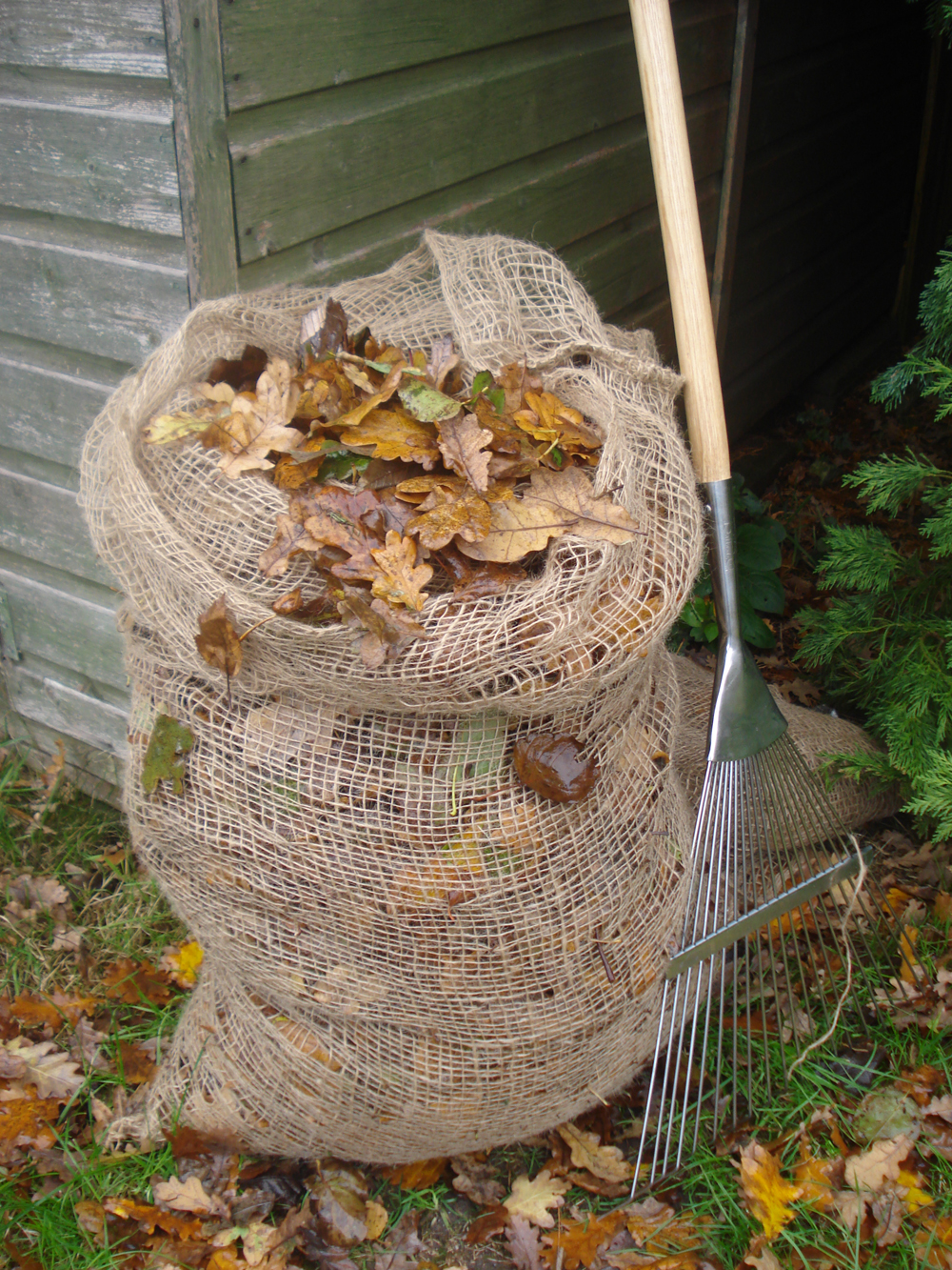 Leaf composting sacks (Burgon and Ball/PA)