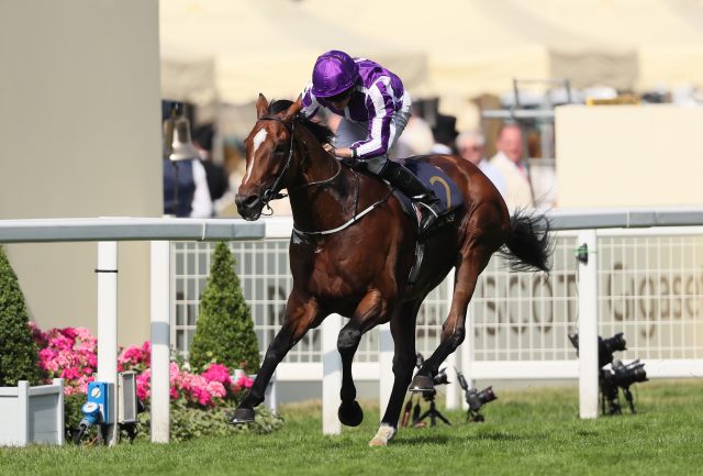 Highland Reel is one of two runners for Aidan O'Brien