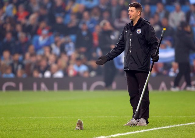 A squirrel causes havoc at the Etihad