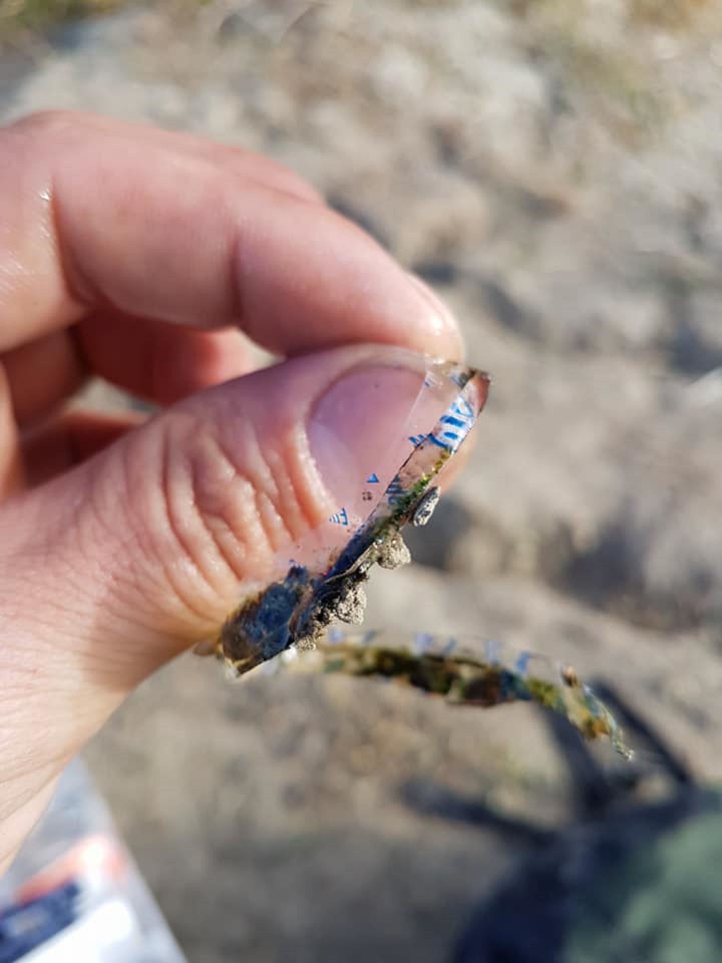 Litter that was found wrapped around a fish in Medicine Hat, Alberta