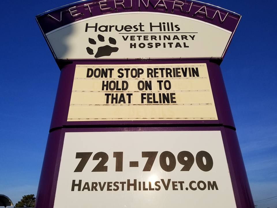 (Harvest Hills Veterinary Hospital/PA)