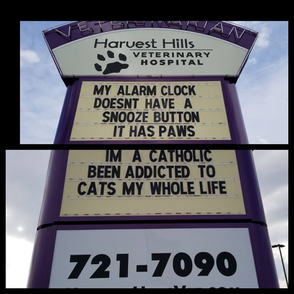 (Harvest Hills Veterinary Hospital/PA)