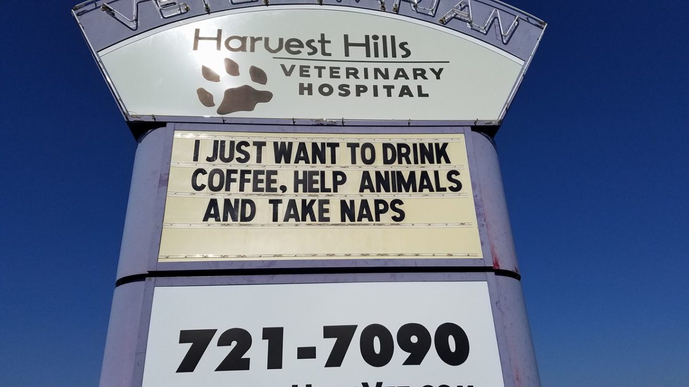 harvest hills animal hospital