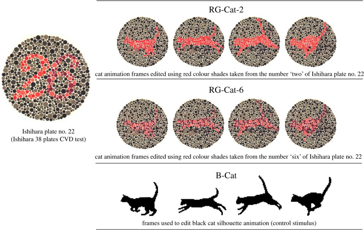 research on dogs being color blind