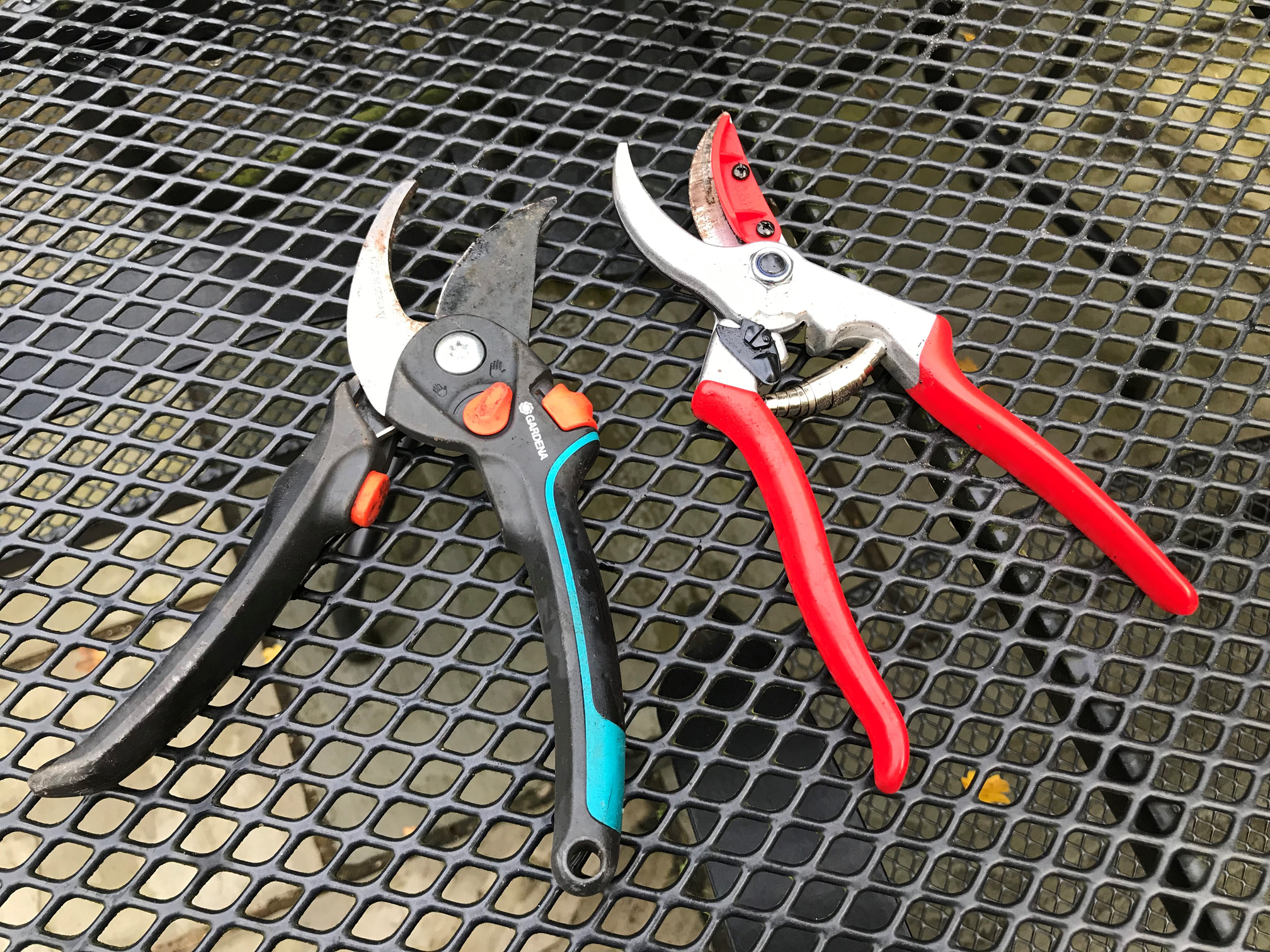 Open blades to allow secateurs to dry (Hannah Stephenson/PA)
