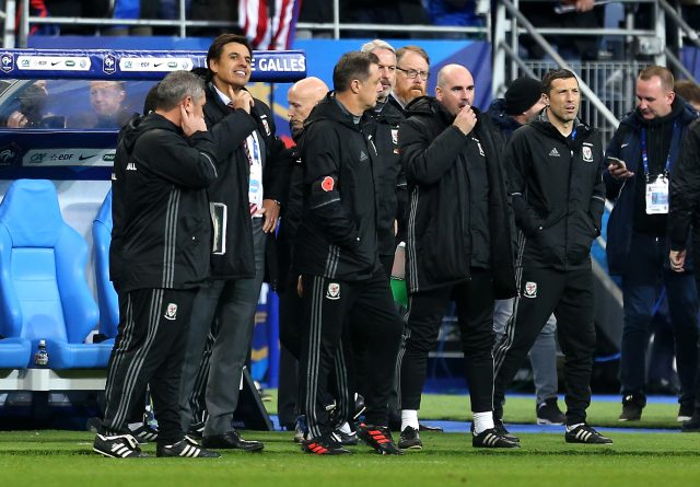 Chris Coleman saw Wales lose 2-0 in Wales