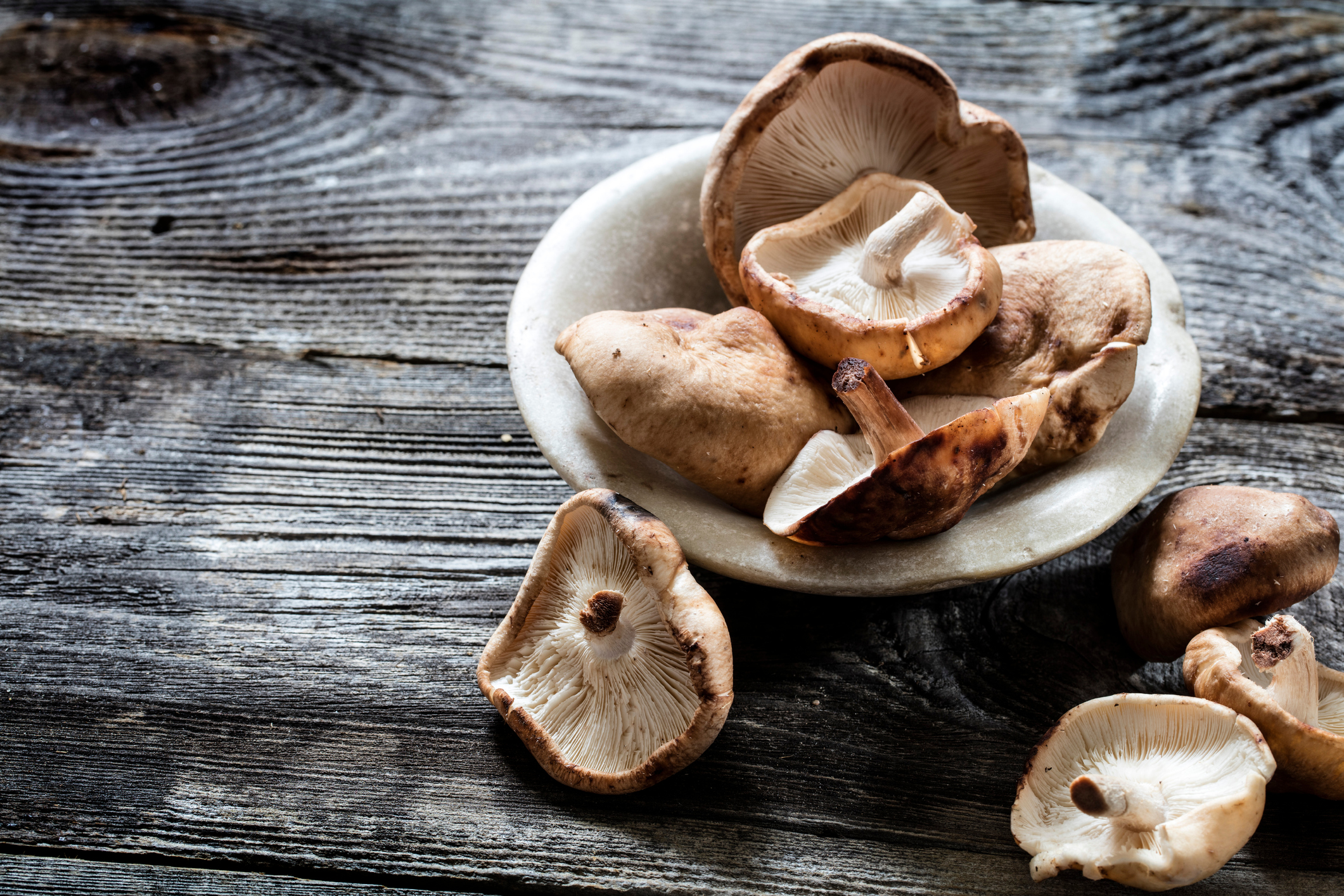 vegetable still life - Shitake mushroaoms in stone cup set on genuine old wood background, studio shot