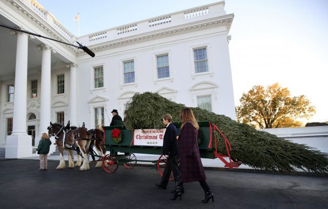 First lady Melania Trump and her son Barron Trump look at the Wisconsin-grown Christmas Tree at the North Portico of the White House