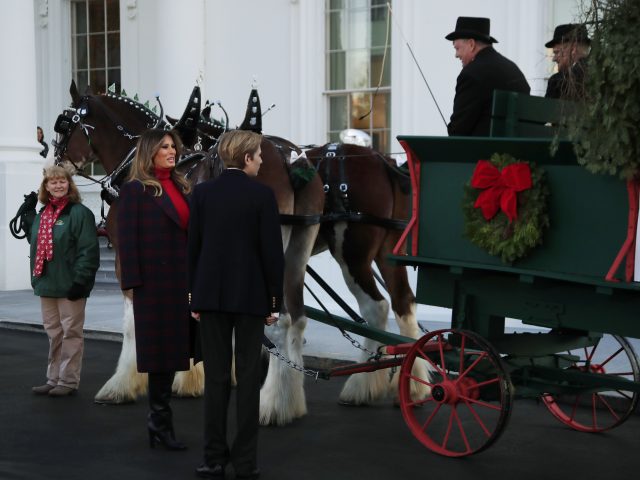 The tree will be displayed in the White House Blue Room