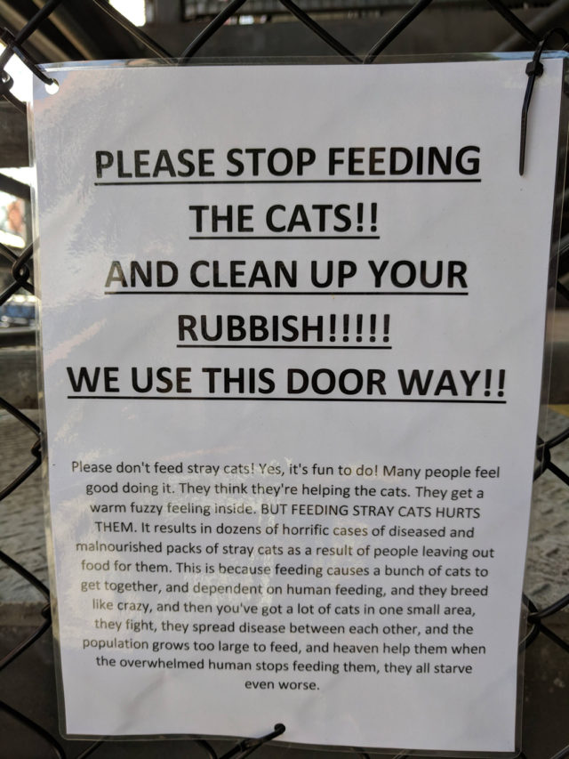 This note sets out exactly why you should not feed stray cats The