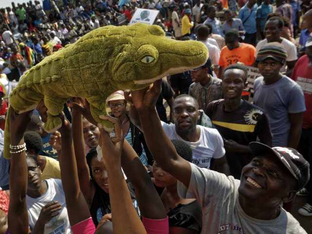Supporters hail president-in-waiting Emmerson Mnangagwa - known as the 'Crocodile'