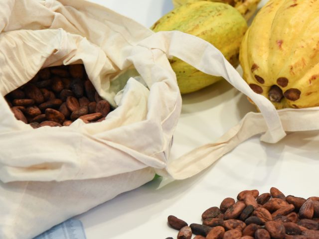 Cocoa beans in the Bournville factory