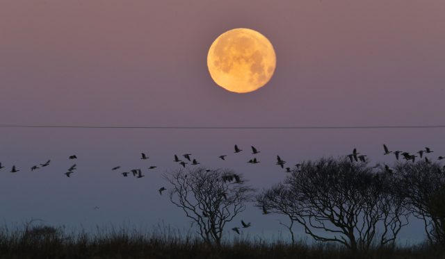 December's full moon is traditionally known as the Cold Moon (Owen Humphreys/PA)