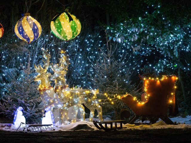 A Birmingham homeowner showcases a sleigh