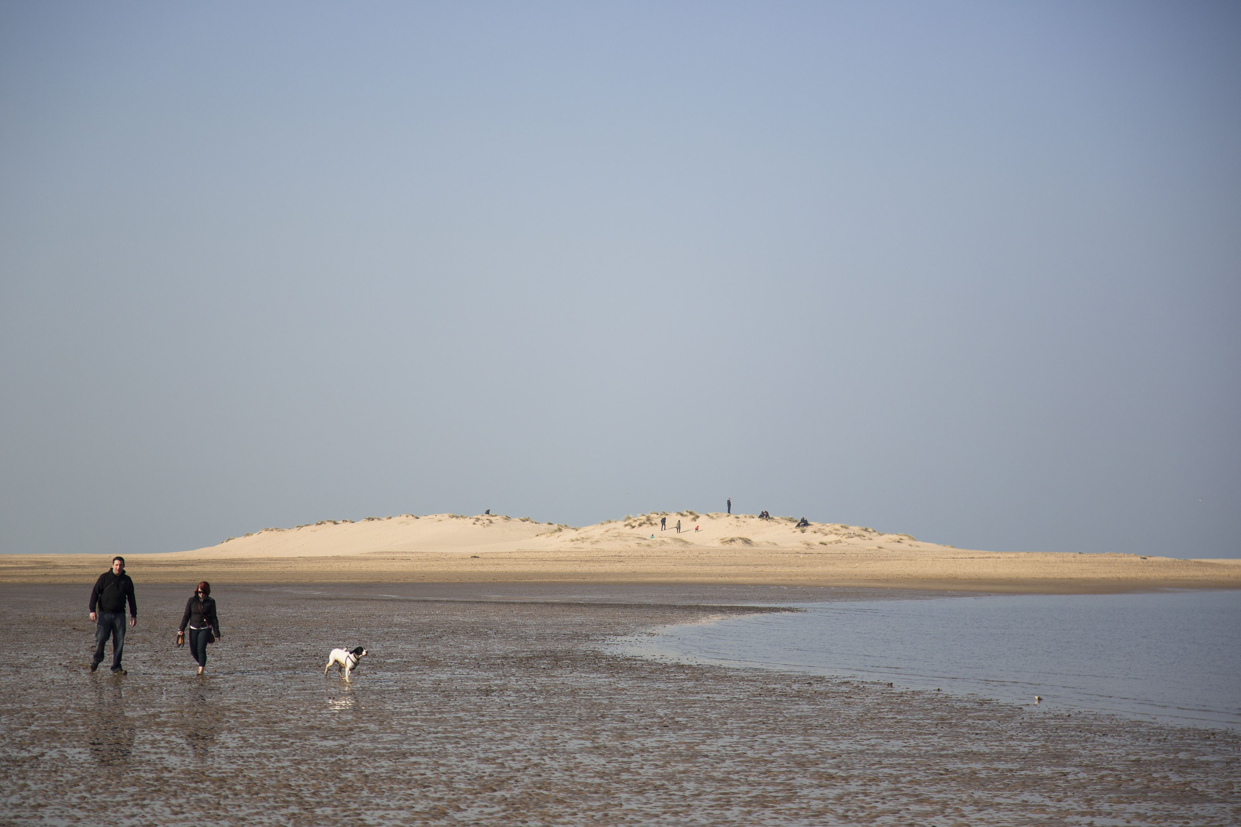 A couple walk their dog along Holkham Beach in Norfolk, with the sand dunes of Holkham National Nature Reserve visible in the background