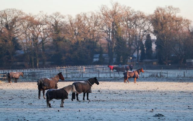 Horses stand in a frosty field near Dogmersfield in Hampshire (Andrew Matthews/PA)