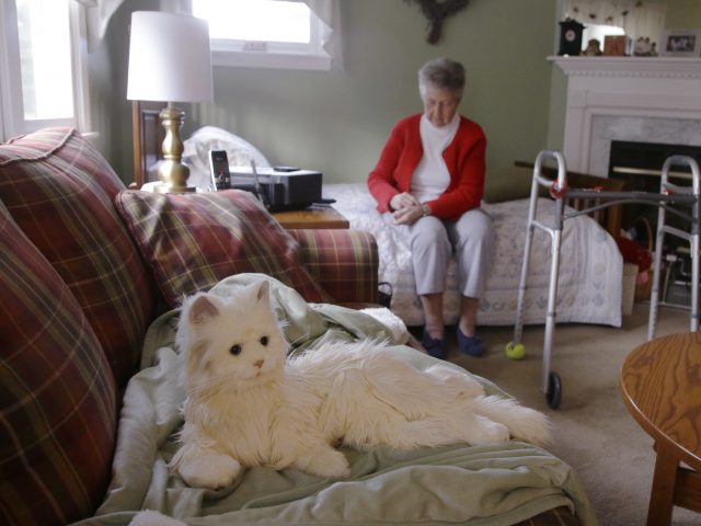 The Brown-Hasbro project is aimed at developing additional capabilities for the cat to help older adults with simple tasks (Stephan Savoia/AP/PA)