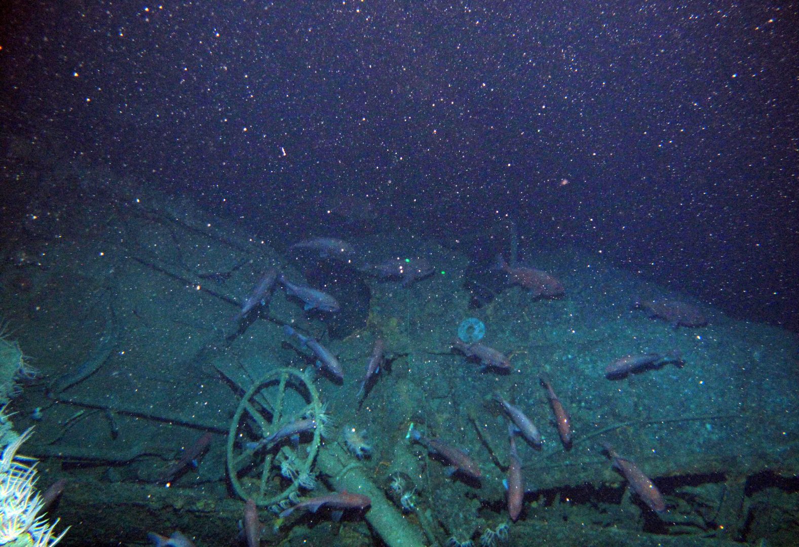 Mystery solved as Australian submarine is found after 103 years ...