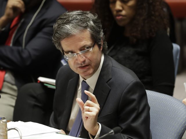 Francoise Delattre, French ambassador to the UN, addresses the council