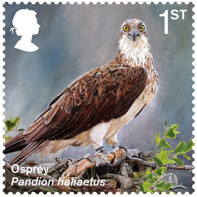 A stamp featuring an osprey (Royal Mail/PA)