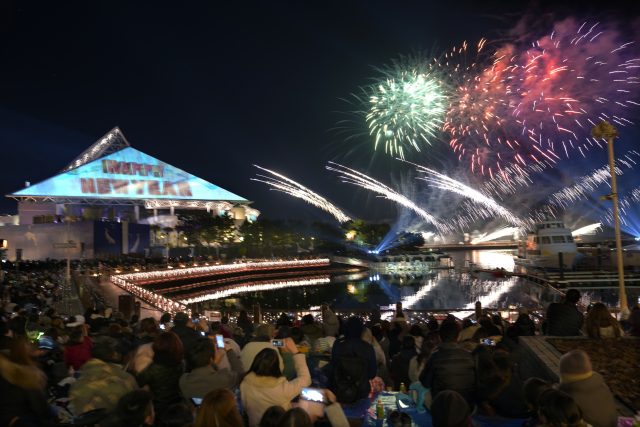 Visitors watch the fireworks at the Hakkeijima Sea Paradise aquarium-amusement park complex in Yokohama, Japan (Shizuo Kambayashi/AP)