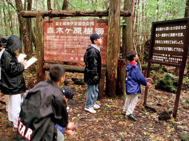Japan's Aokigahara Forest 