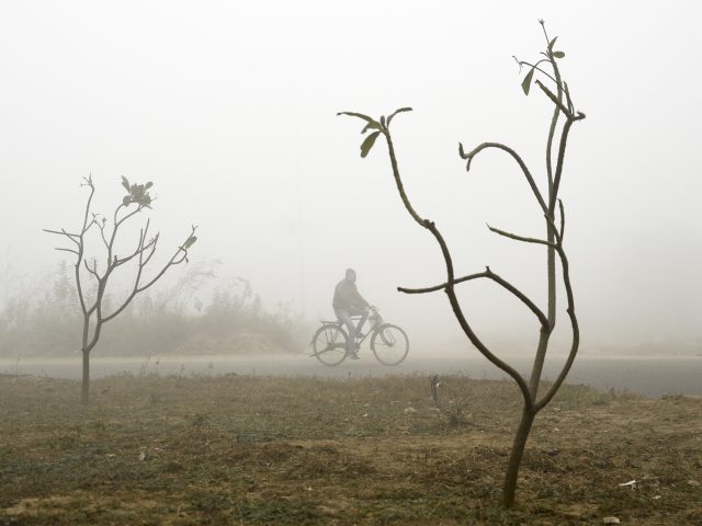 Fog in Greater Noida, outside New Delhi