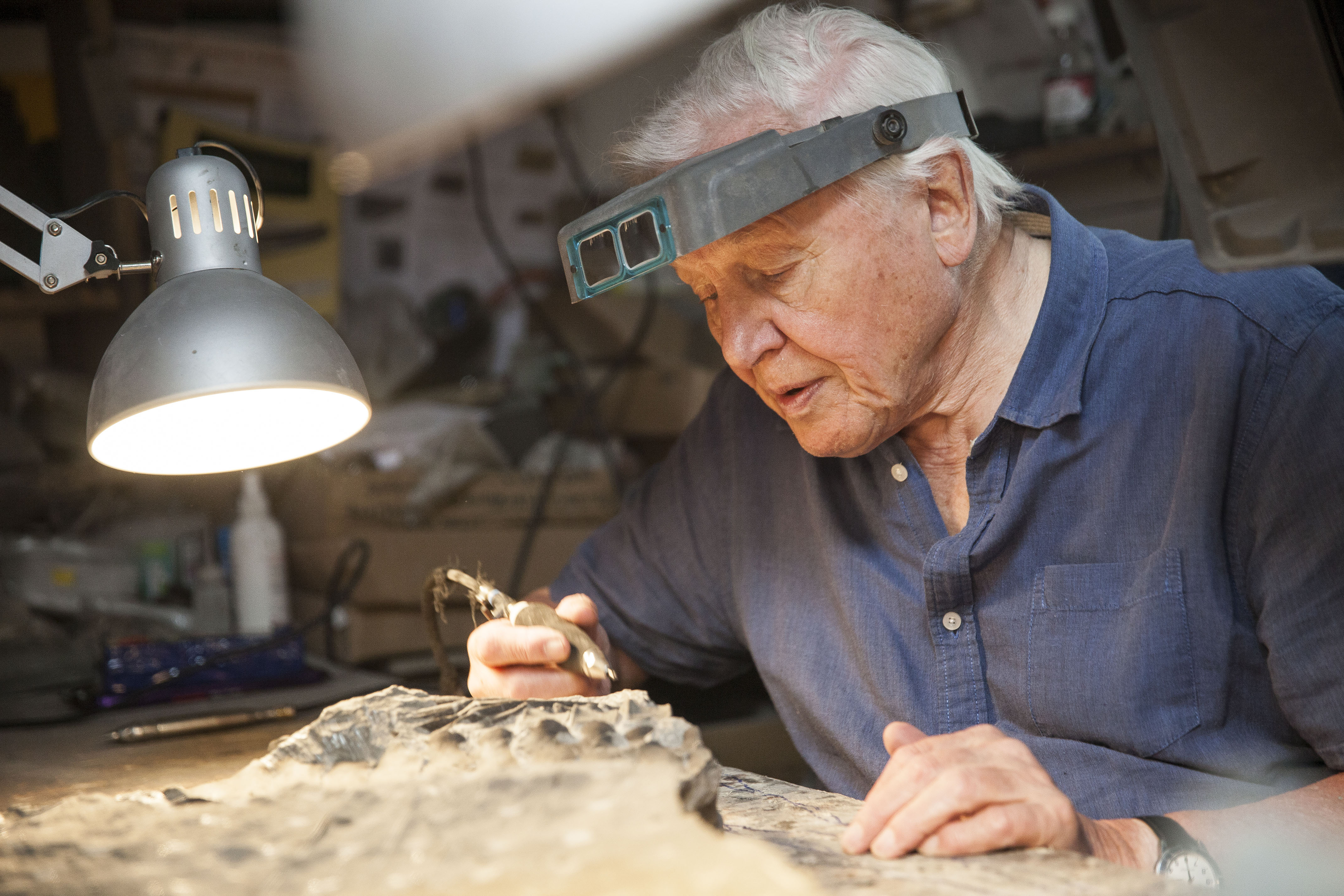 Attenborough removing limestone from a fossil