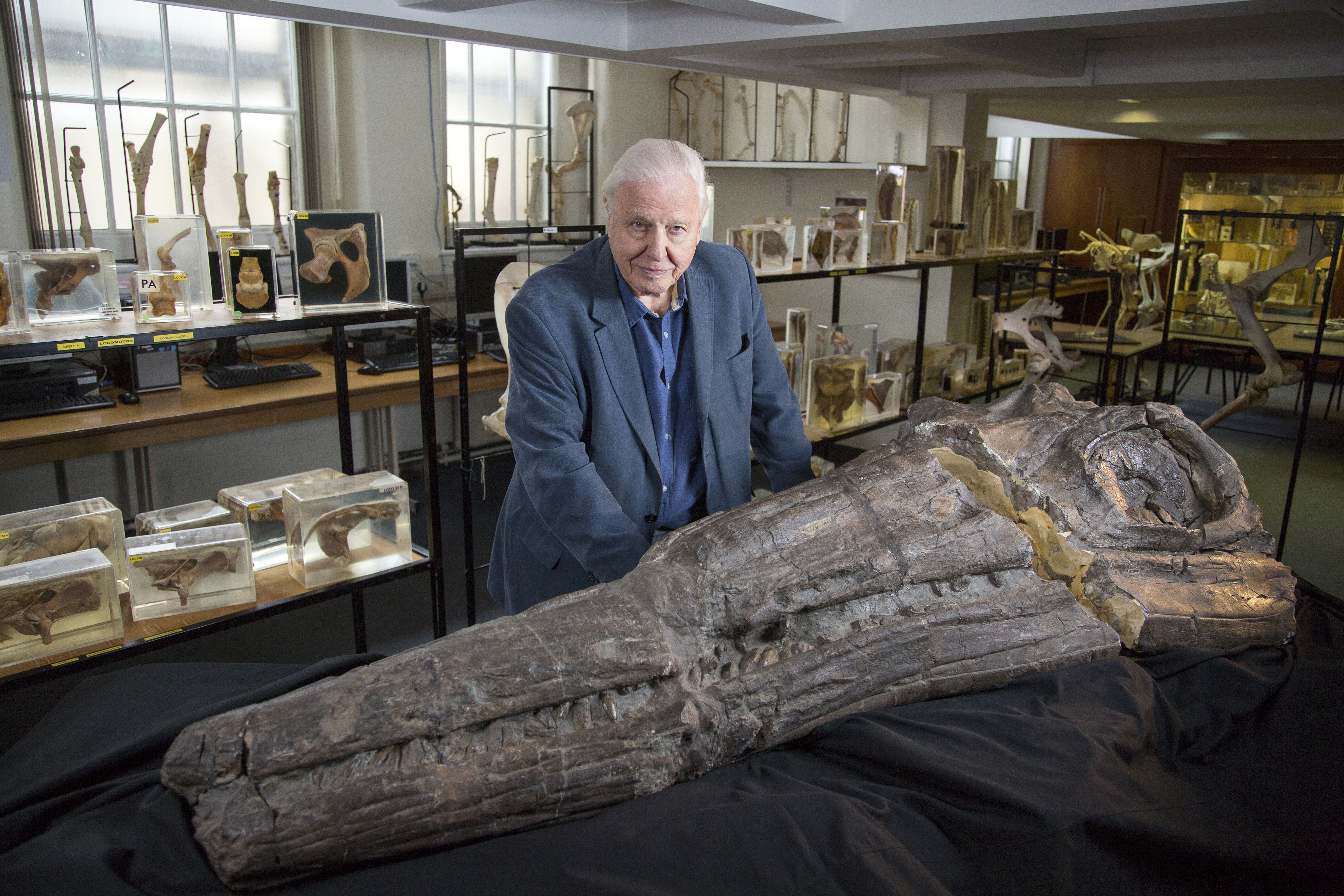 Attenborough with a fossil