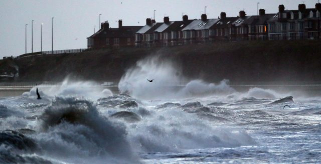 Only seabirds braved the rough seas near Cullercoats on Saturday morning (Owen Humphreys/PA)