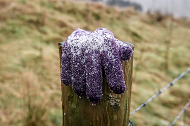 The Met Office had issued a yellow warning for icy conditions on Friday night and into Saturday morning (Ben Birchall/PA)