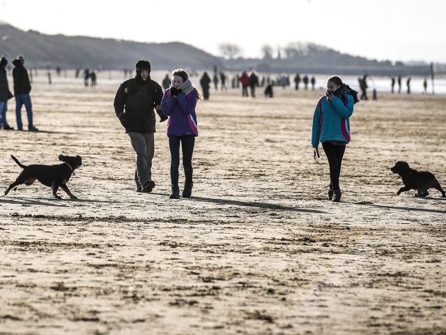 Dog walkers brave the elements on Weston-super-Mare Beach in Somerset