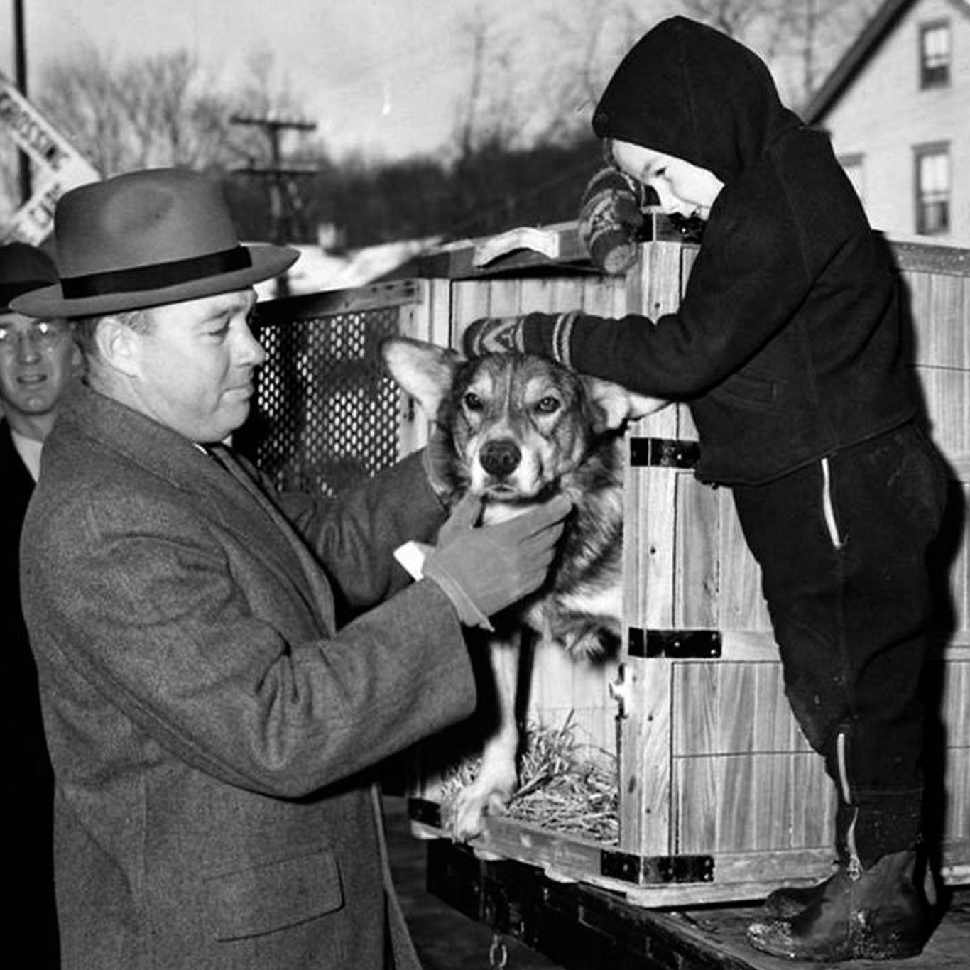 Heroic dog Chips who met Churchill posthumously awarded animal