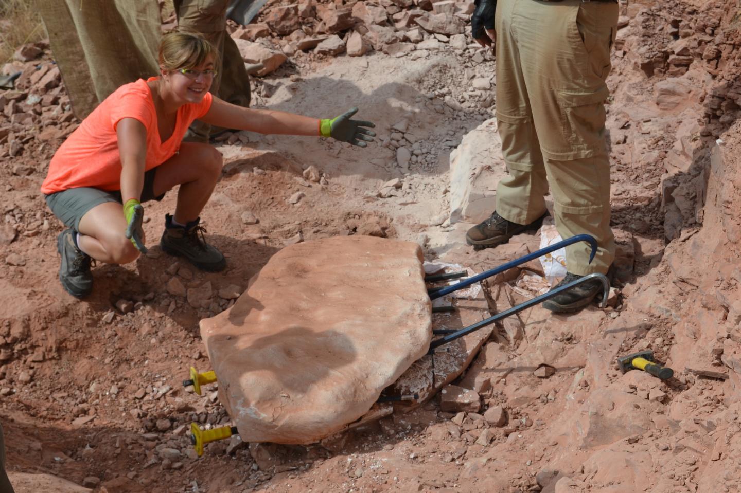 PhD student Kimberley Chapelle at work in the field.