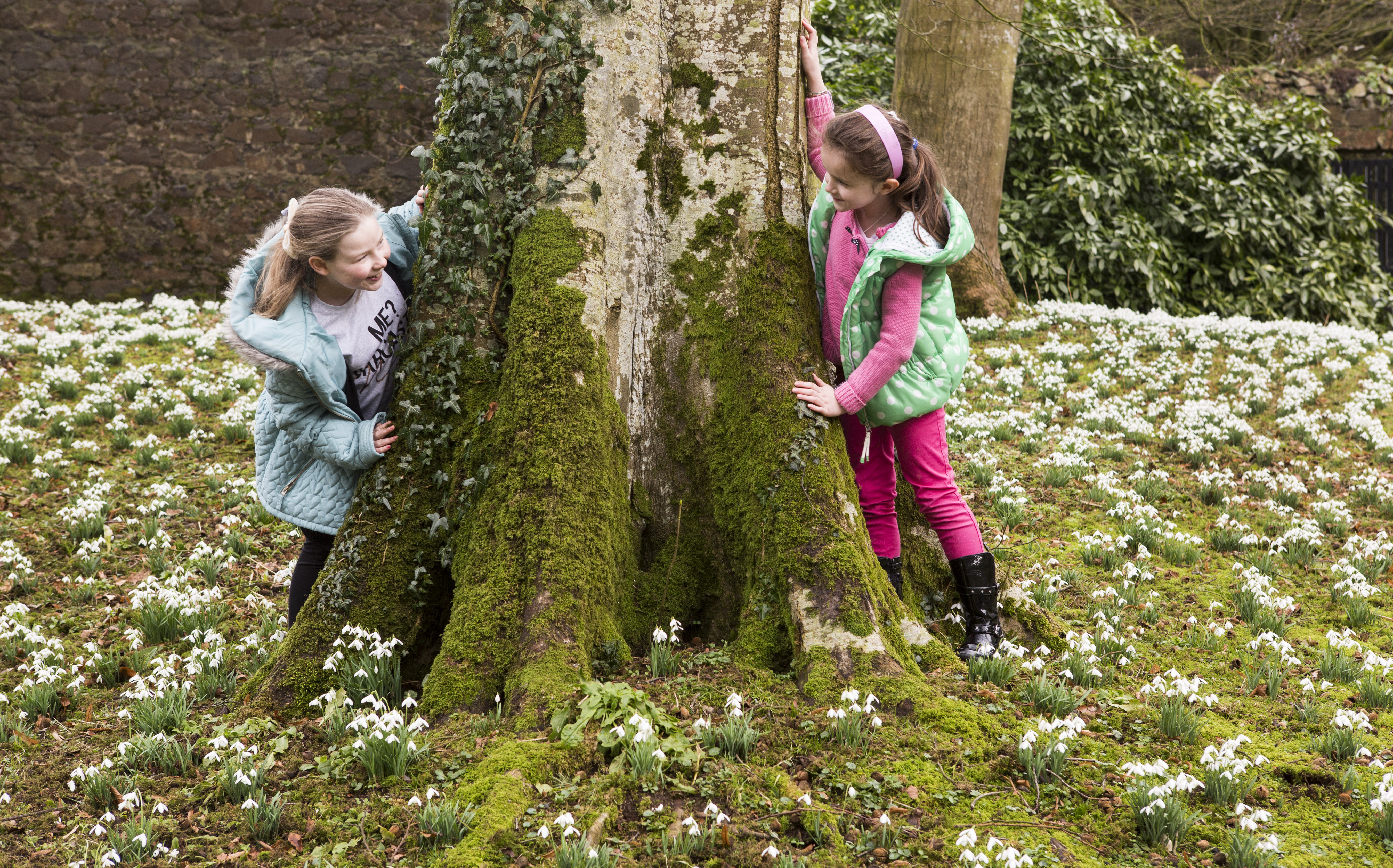 Springhill snowdrops. (Bernie Brown/National Trust Images/ PA)
