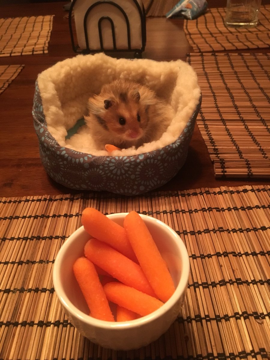 Chip next to some carrots