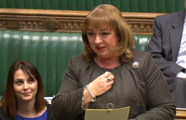 Labour MP Sharon Hodgson addresses the Commons