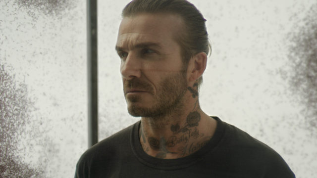 Beckham is pictured in a glass box, surrounded by mosquitoes – which can carry the tropical disease (PA handout)