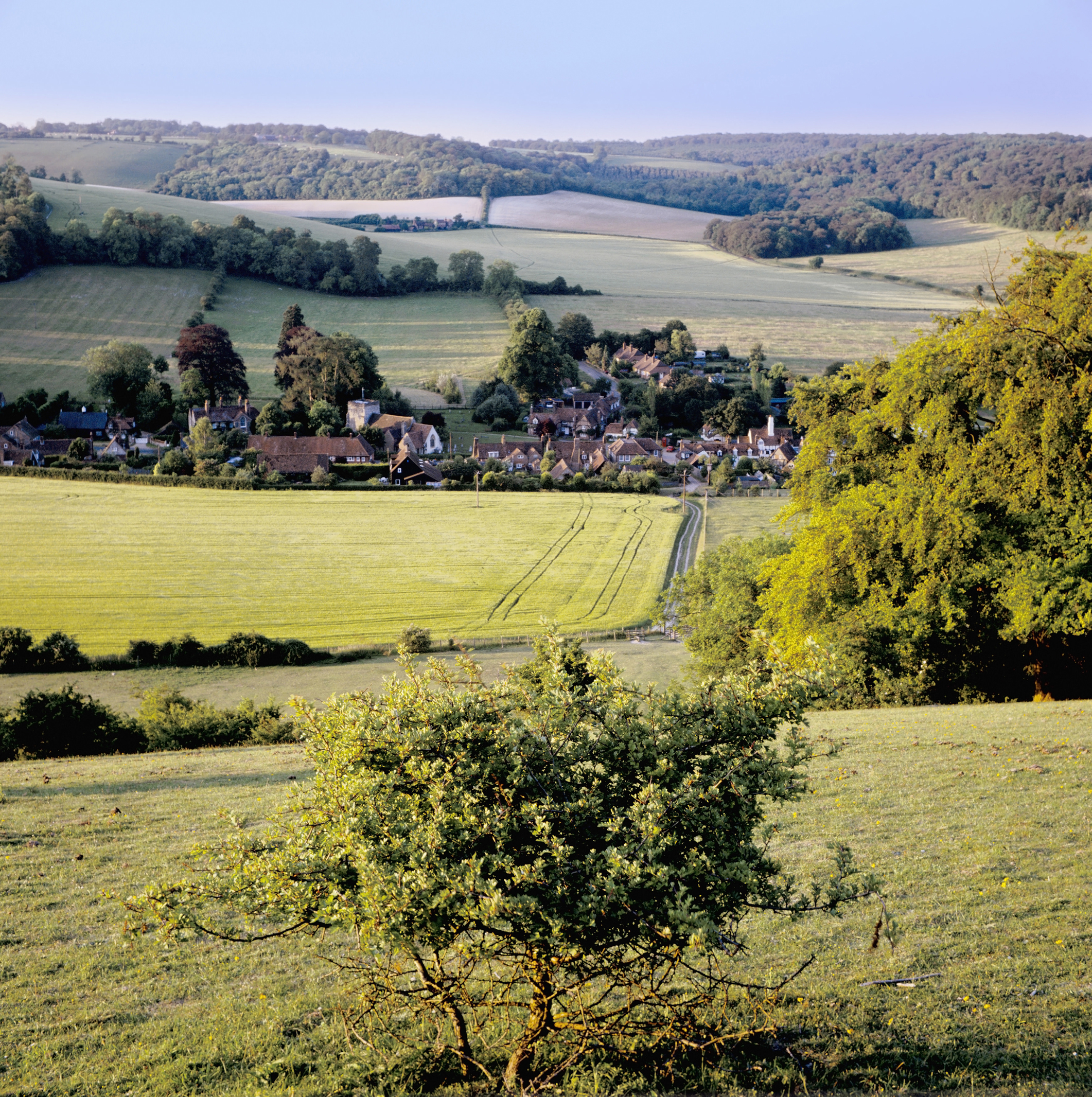 Chiltern Hills, Buckinghamshire (David Martyn/ Thinkstock/PA)