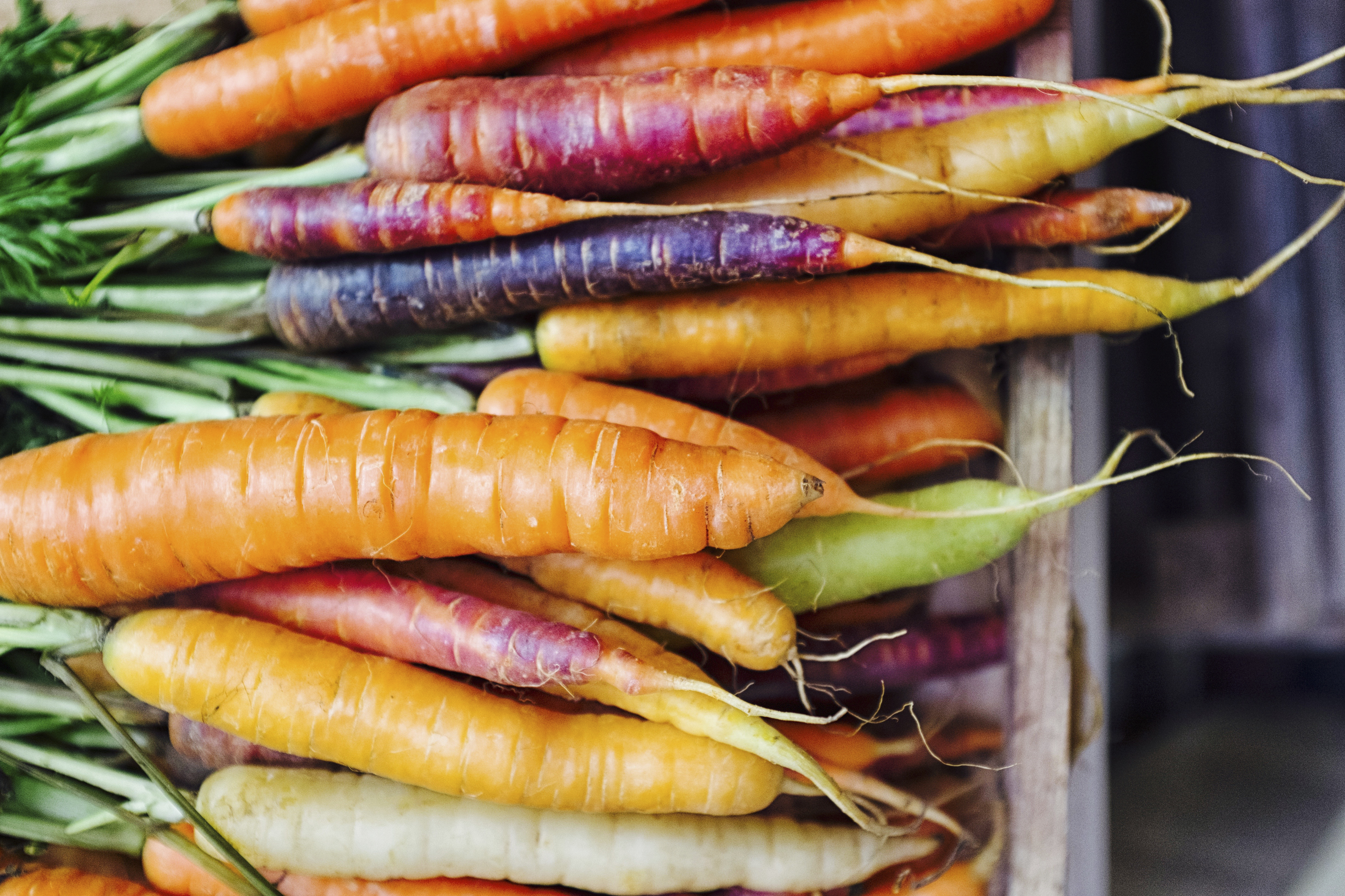 Freshly-picked rainbow carrots (Thinkstock/PA)
