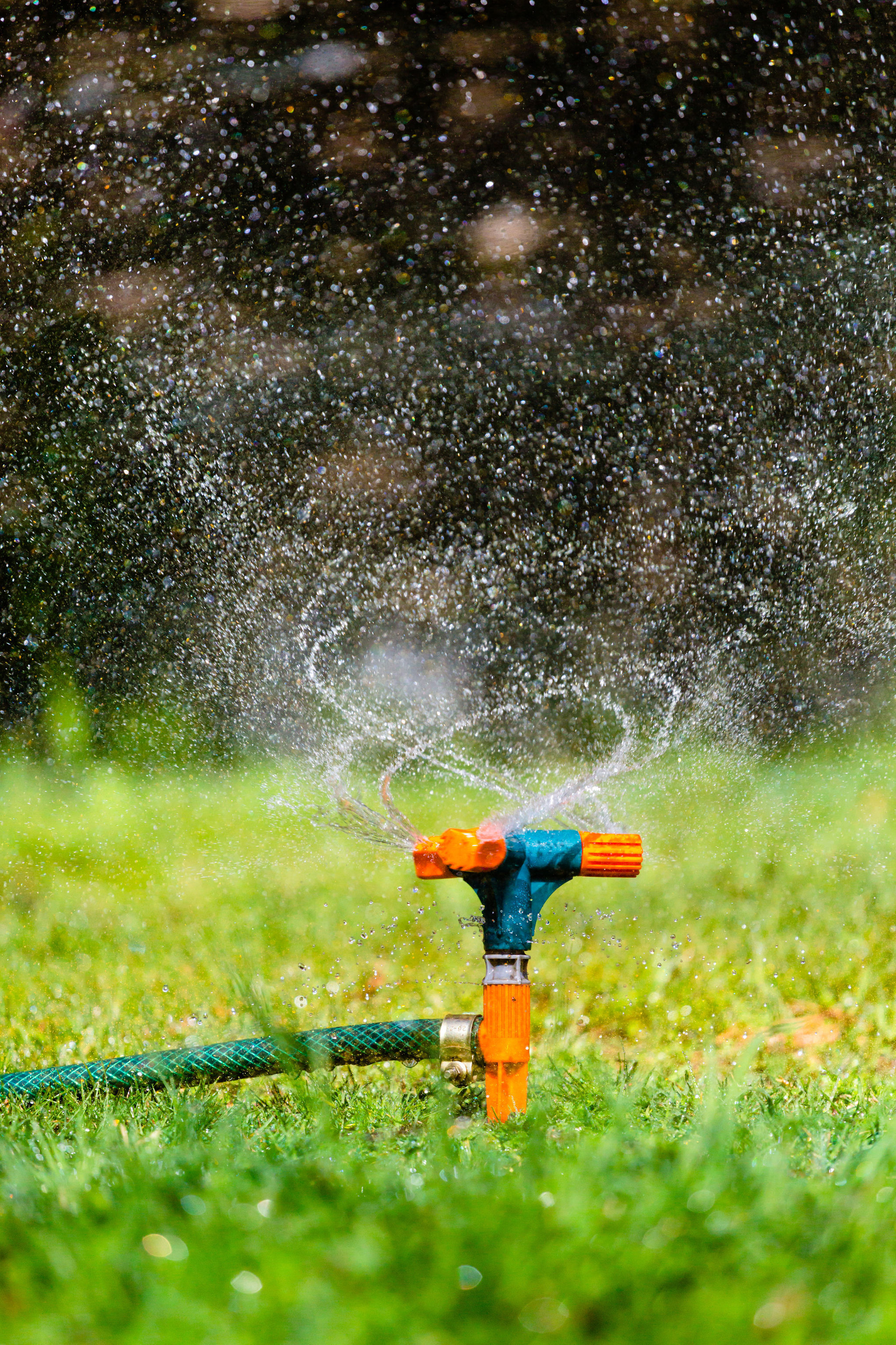 Sprinkler (Thinkstock/PA)