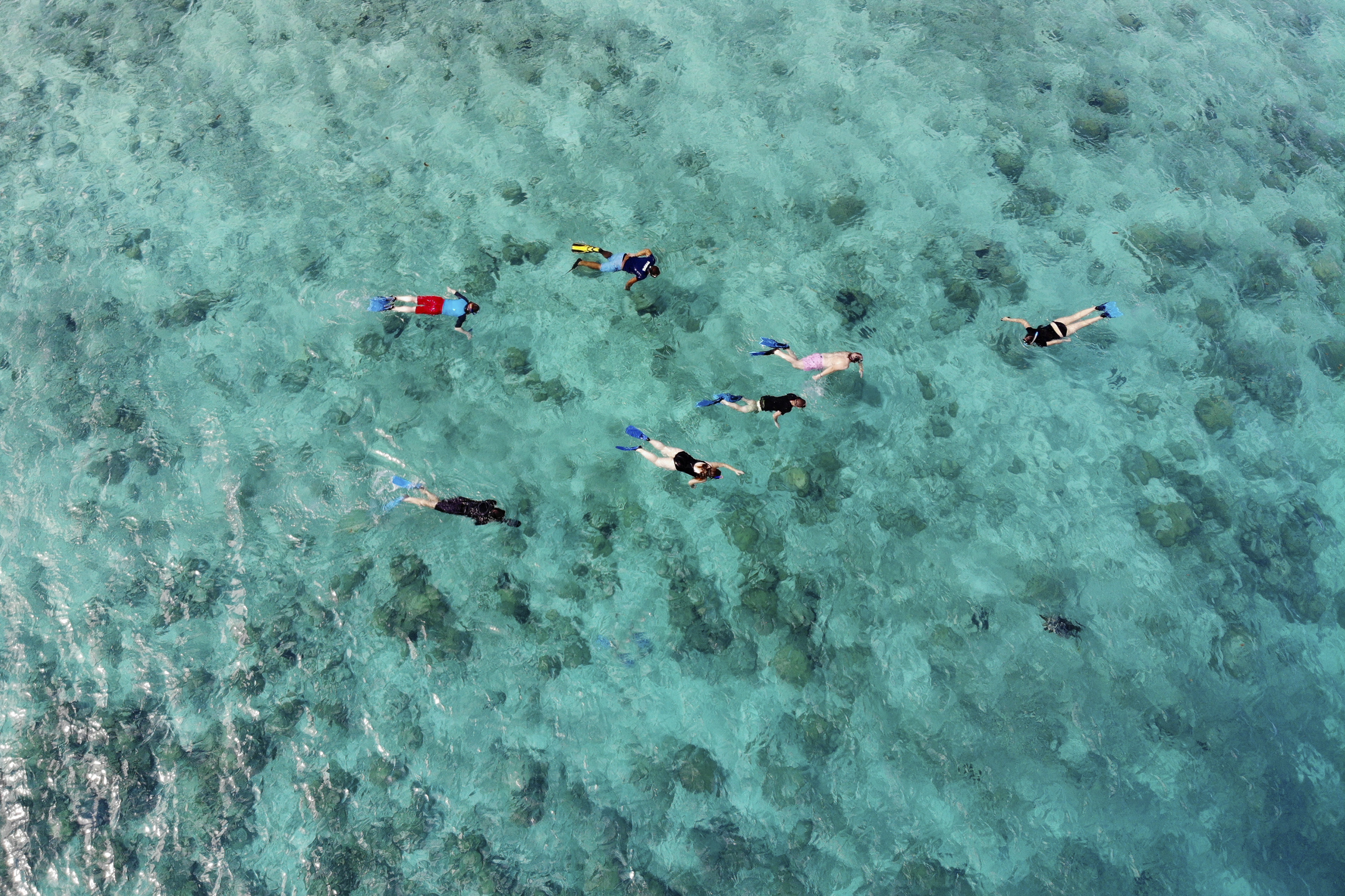 People snorkelling over a reef in the Seychelles (The Ocean Agency via AP)
