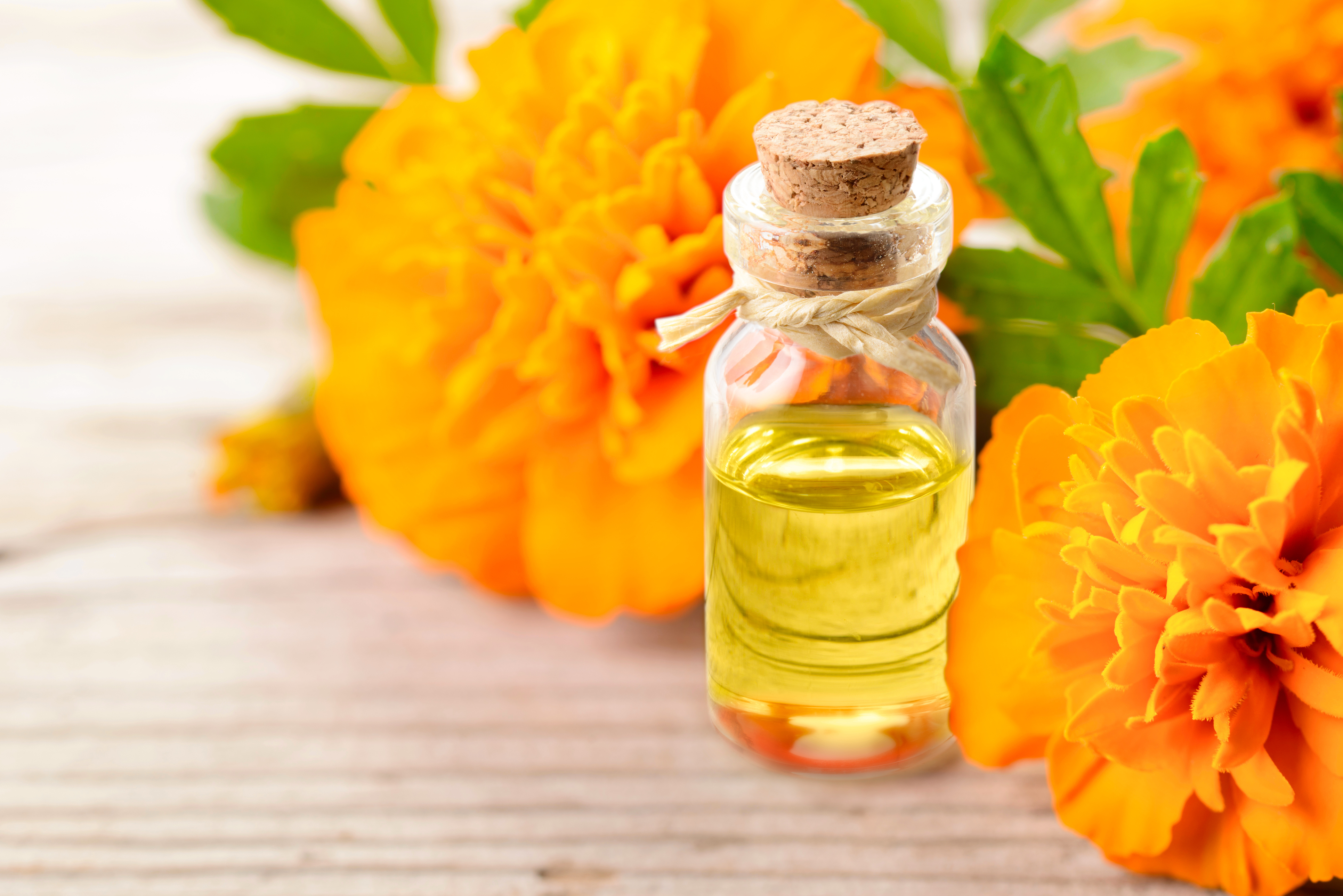 Tagetes essential oil can be a skin soother. (Thinkstock/PA)