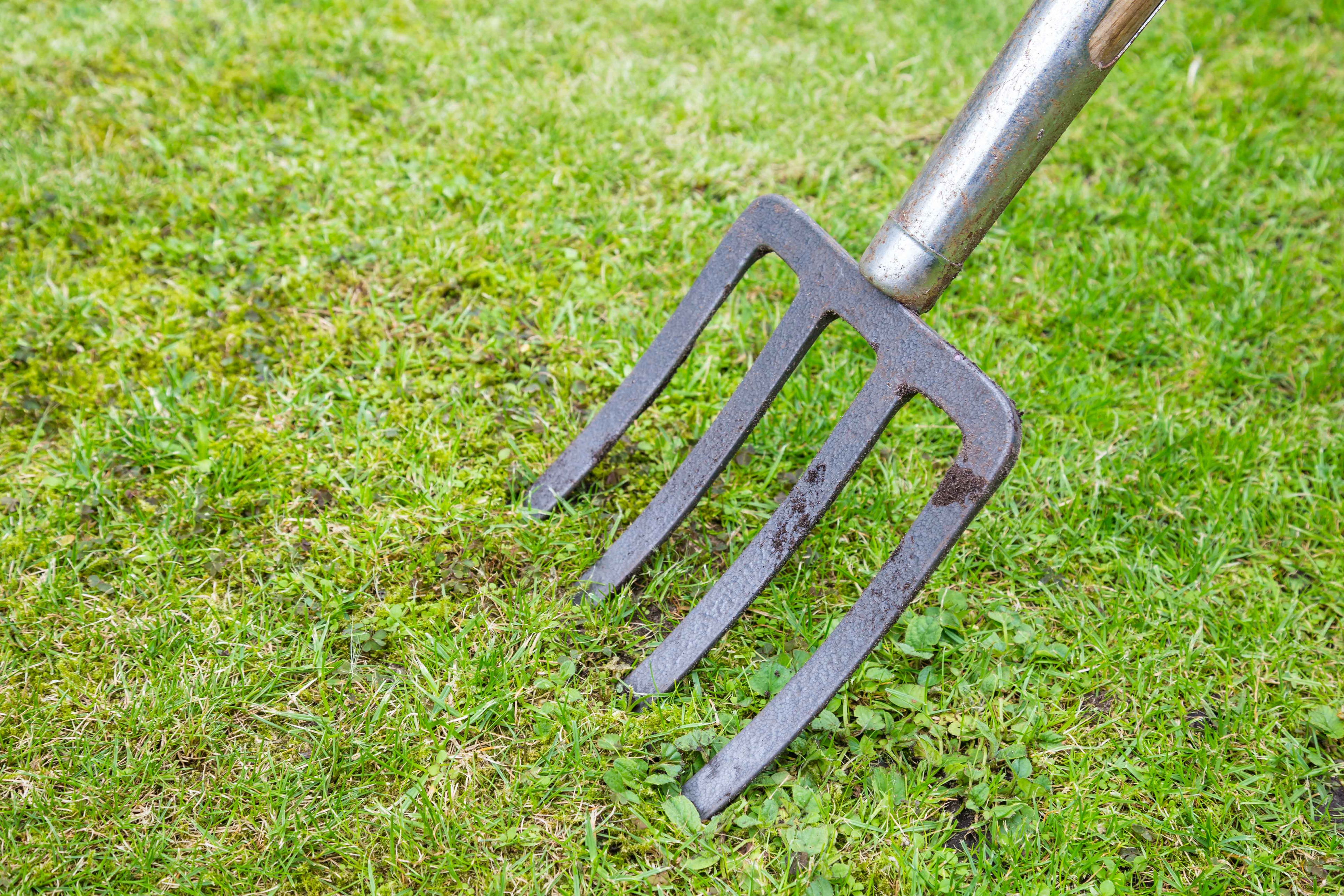 Use a fork to make drainage holes (Thinkstock/PA)